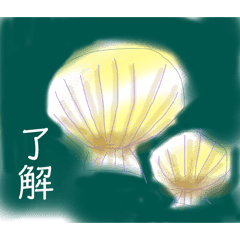 BARAKO_20240816142822