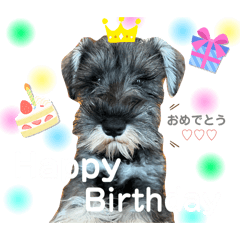 s.k.n_20240816223541