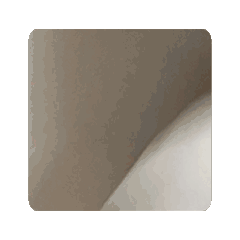 UNICORN_20240817215643