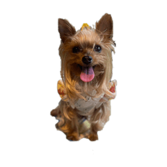 pote10__20240817161743