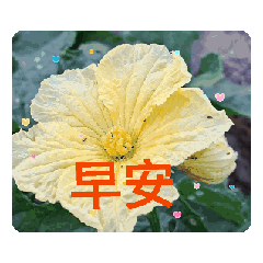 月蘭動圖09