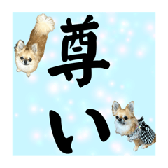 haaaa!_20240817200309