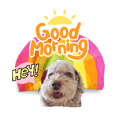 天津甘栗ぷー吾朗！総集編1