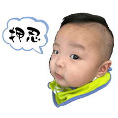 Tsubaki_20240817153457