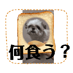Puku_20240818183913