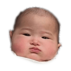 moyami_20240818123122