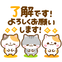 long message nekoneko nyanko