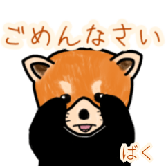 Baku's lesser panda