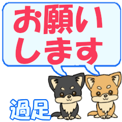 Sugiashi's letters Chihuahua2