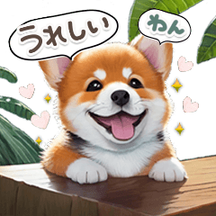 Greetings of the Corgies 1