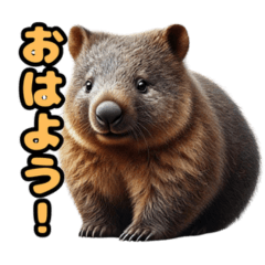 Wombat's Everyday Conversation Stickers