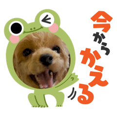 hi.I am Pono.