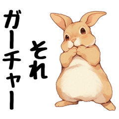 rabbit from the Z and Alpha generations