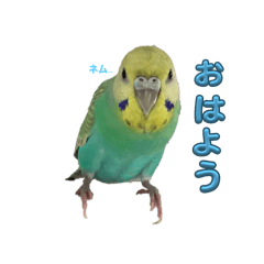 tori_20240818194825