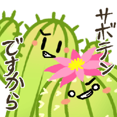 ツインカクタスはっしー＆まるすけ
