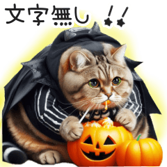 ポッチャリにゃんこ秋ハロウィン文字無し