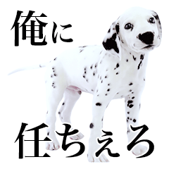 Benjamin of dalmatian vol.2