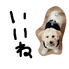 Chisa_20240818171027