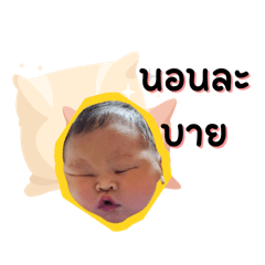 BABYFERNWORK_20240819112831