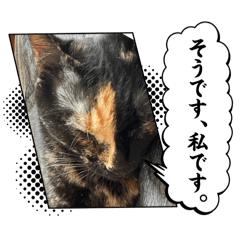 Mana.S_20240818232217