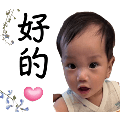 叡叡大字版第三彈