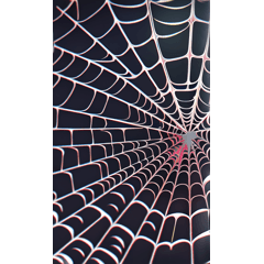 spider web effect