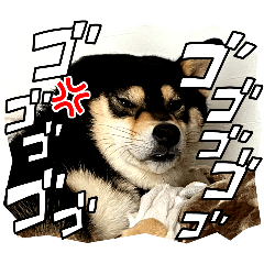 kamorin_20240818200331