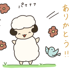 Sheep Meesan