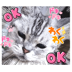 muraharu_20240819012853