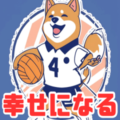 Volleyball Victory Shiba!