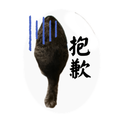 Michael_20240818135007