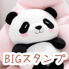 Night time fluffy panda BIG sticker