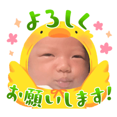 moo_20240819160030