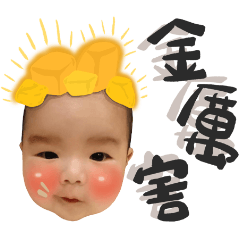 金實用語錄 – LINE貼圖 | LINE STORE