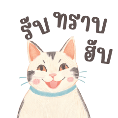 Cute cat Congratulating