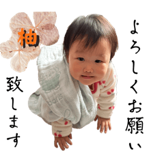 Chisa_20240819170806