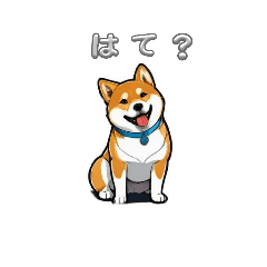 A day in the life of a Shiba Inu