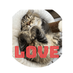 yuna yuna_20240819190808