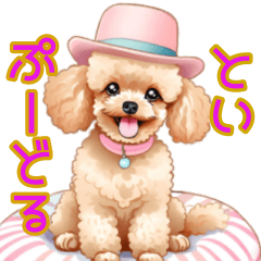 Must-Have Toy Poodle Phrases