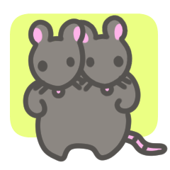 two-headed rat