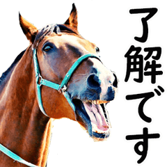 Honorific language at horse racing