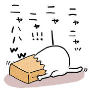 dekamozi_arenzi_cat