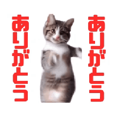 動く！動く！踊る猫ちゃん(カラフル文字)