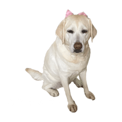Emilia_20240820041927