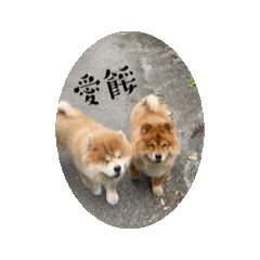 怪的碎片
