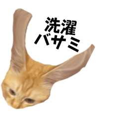 ando-natu_20240820135017