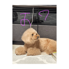 sy_20240819175917