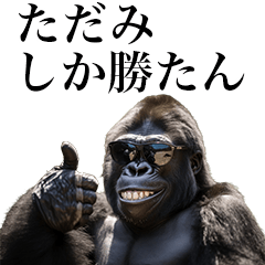 [Tadami] Funny Gorilla stamps to send