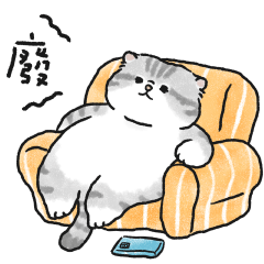 Oba cat30 -silver tabby cat