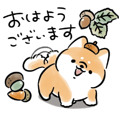 Shiba Inu Dog<2024autumn>